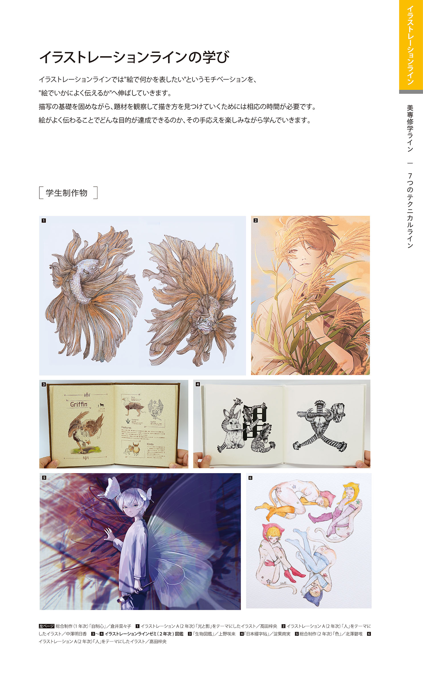 イラストレーションラインの学びの紹介と参考作品